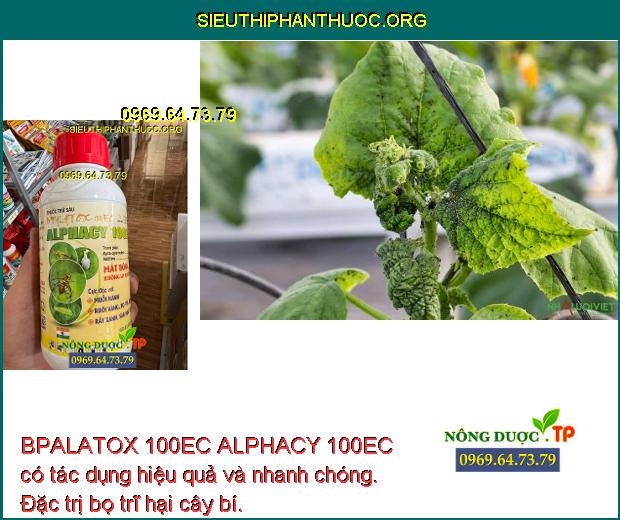 BPALATOX 100EC ALPHACY 100EC có tác dụng hiệu quả và nhanh chóng. Đặc trị bọ trĩ hại cây bí.
