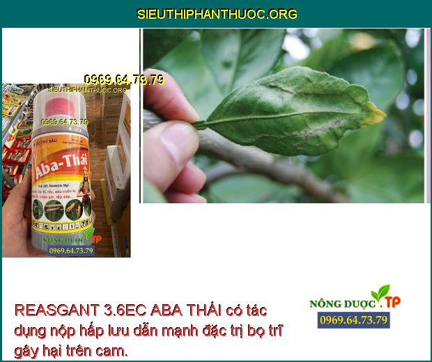 REASGANT 3.6EC ABA THÁI có tác dụng nộp hấp lưu dẫn mạnh đặc trị bọ trĩ gây hại trên cam.