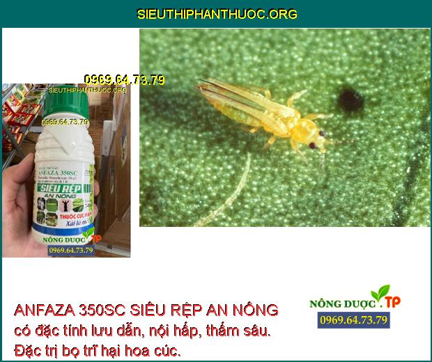 ANFAZA 350SC SIÊU RỆP AN NÔNG có đặc tính lưu dẫn, nội hấp, thấm sâu. Đặc trị bọ trĩ hại hoa cúc.