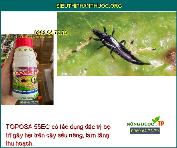 TOPOSA 55EC có tác dụng đặc trị bọ trĩ gây hại trên cây sầu riêng, làm tăng thu hoạch.