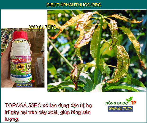 TOPOSA 55EC có tác dụng đặc trị bọ trĩ gây hại trên cây xoài, giúp tăng sản lượng.