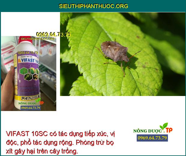 VIFAST 10SC có tác dụng tiếp xúc, vị độc, phổ tác dụng rộng. Phòng trừ bọ xít gây hại trên cây trồng.