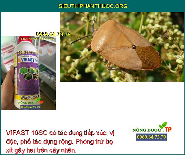 VIFAST 10SC có tác dụng tiếp xúc, vị độc, phổ tác dụng rộng. Phòng trừ bọ xít gây hại trên cây nhãn.