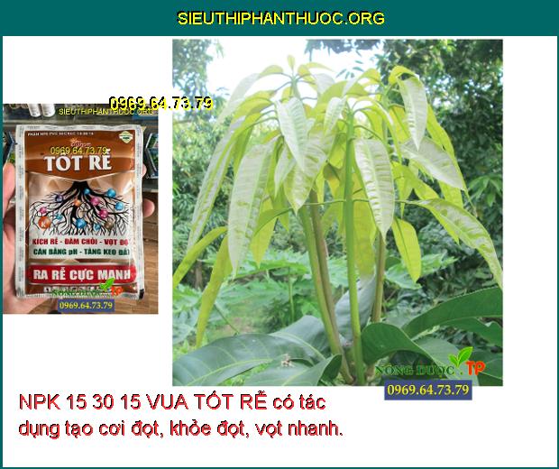 NPK 15 30 15 VUA TỐT RỄ- Kích Rễ- Đâm Chồi- Vọt Đọt- Ra Rễ Cực Mạnh ...