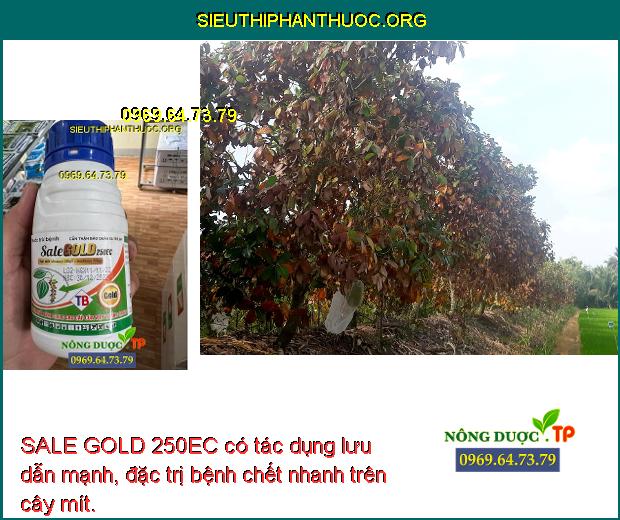 SALE GOLD 250EC có tác dụng lưu dẫn mạnh, đặc trị bệnh chết nhanh trên cây mít.