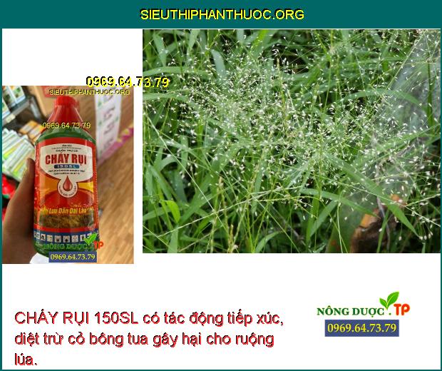 CHÁY RỤI 150SL có tác động tiếp xúc, diệt trừ cỏ bông tua gây hại cho ruộng lúa.