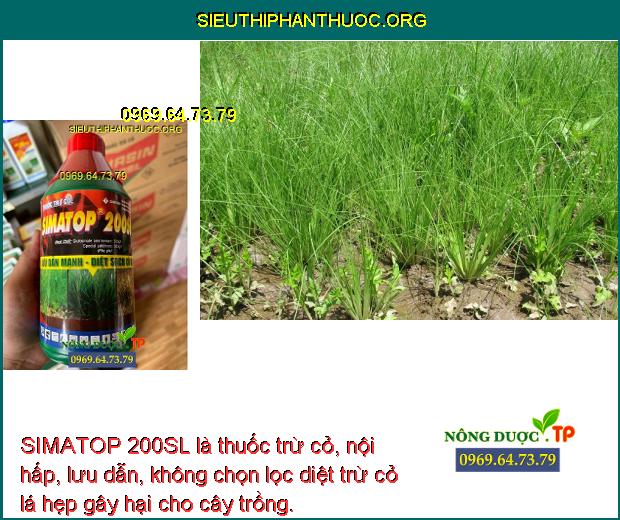 SIMATOP 200SL là thuốc trừ cỏ, nội hấp, lưu dẫn, không chọn lọc diệt trừ cỏ lá hẹp gây hại cho cây trồng.