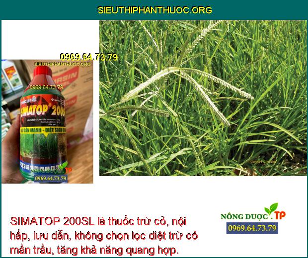 SIMATOP 200SL là thuốc trừ cỏ, nội hấp, lưu dẫn, không chọn lọc diệt trừ cỏ mần trầu, tăng khả năng quang hợp.