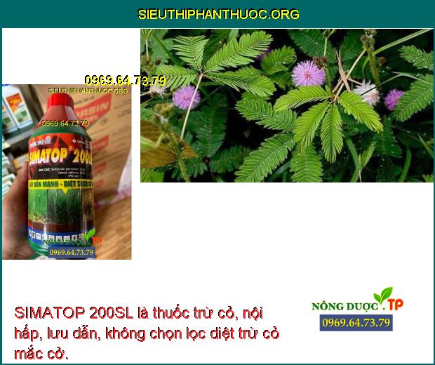 SIMATOP 200SL là thuốc trừ cỏ, nội hấp, lưu dẫn, không chọn lọc diệt trừ cỏ mắc cở.