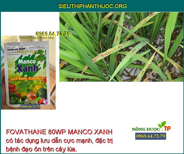 FOVATHANE 80WP MANCO XANH có tác dụng lưu dẫn cực mạnh, đặc trị bệnh đạo ôn trên cây lúa.