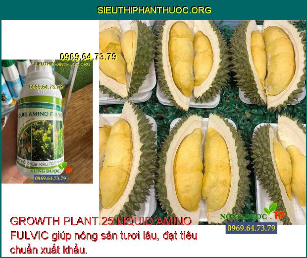 GROWTH PLANT 25 LIQUID AMINO FULVIC giúp nông sản tươi lâu, đạt tiêu chuẩn xuất khẩu.