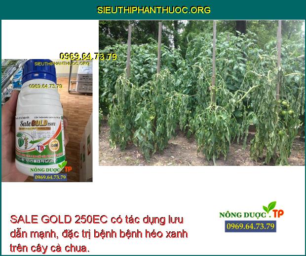 SALE GOLD 250EC có tác dụng lưu dẫn mạnh, đặc trị bệnh bệnh héo xanh trên cây cà chua.