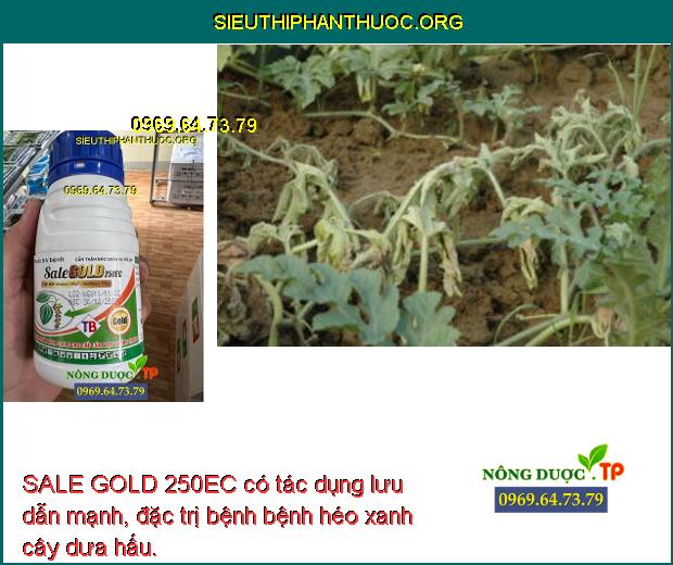 SALE GOLD 250EC có tác dụng lưu dẫn mạnh, đặc trị bệnh bệnh héo xanh cây dưa hấu.