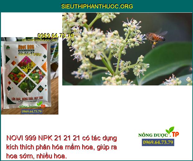 NOVI 999 NPK 21 21 21 có tác dụng kích thích phân hóa mầm hoa, giúp ra hoa sớm, nhiều hoa.