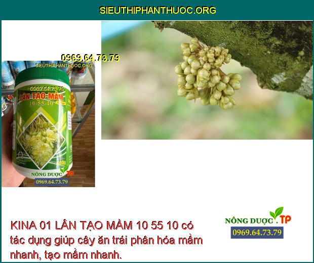 KINA 01 LÂN TẠO MẦM 10 55 10 có tác dụng giúp cây ăn trái phân hóa mầm nhanh, tạo mầm nhanh.