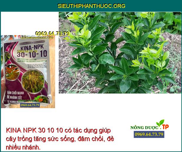 KINA NPK 30 10 10 có tác dụng giúp cây trồng tăng sức sống, đâm chồi, đẻ nhiều nhánh.
