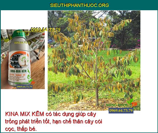 KINA MIX KẼM có tác dụng giúp cây trồng phát triển tốt, hạn chế thân cây còi cọc, thấp bé.