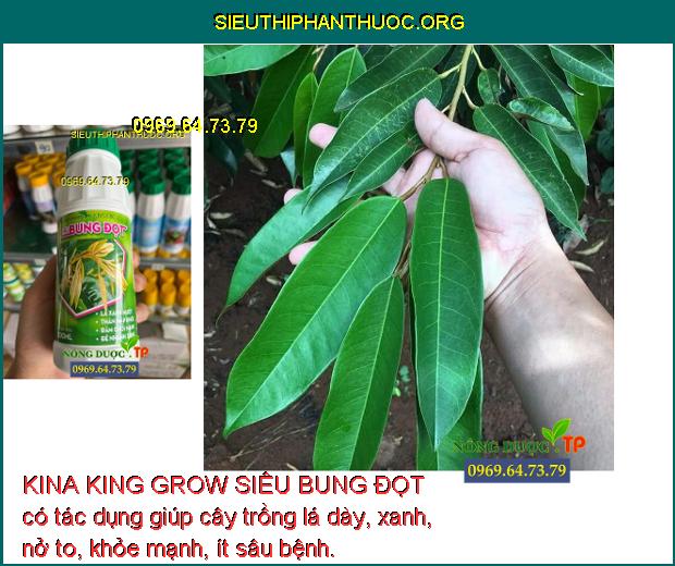 KINA KING GROW SIÊU BUNG ĐỌT có tác dụng giúp cây trồng lá dày, xanh, nở to, khỏe mạnh, ít sâu bệnh.