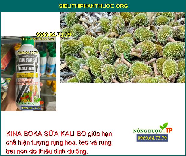 KINA BOKA SỮA KALI BO giúp hạn chế hiện tượng rụng hoa, teo và rụng trái non do thiếu dinh dưỡng.