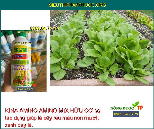 KINA AMINO AMINO MIX HỮU CƠ có tác dụng giúp lá cây rau màu non mượt, xanh dày lá.