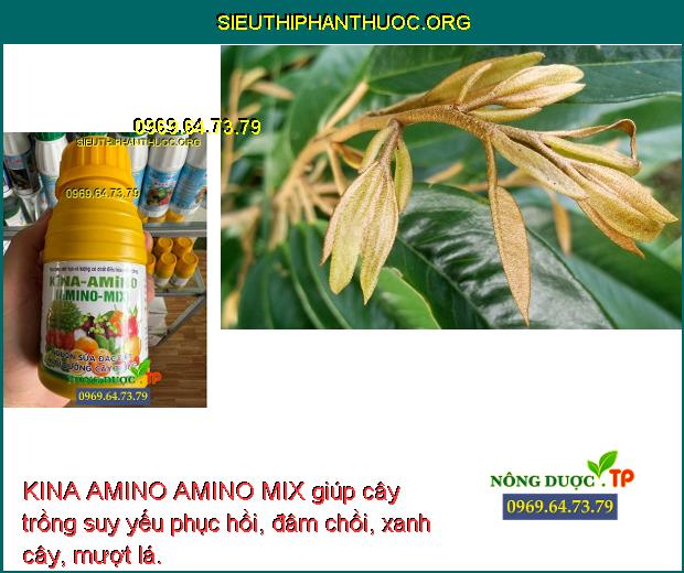 KINA AMINO AMINO MIX giúp cây trồng suy yếu phục hồi, đâm chồi, xanh cây, mượt lá.