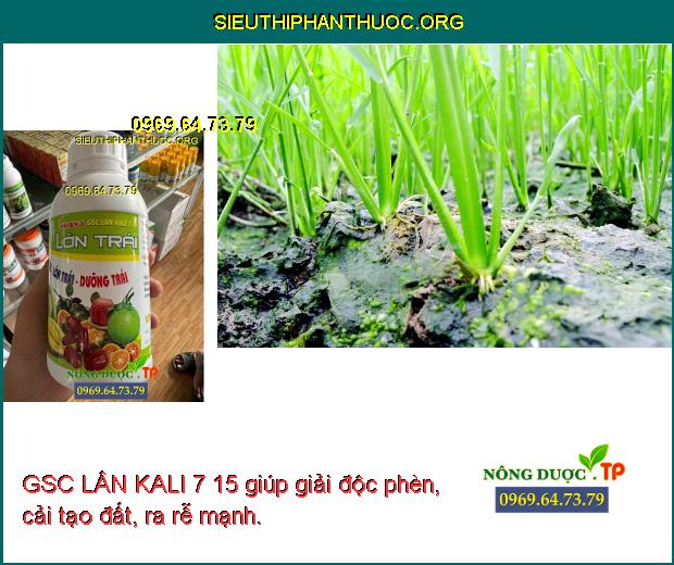 GSC LÂN KALI 7 15 giúp giải độc phèn, cải tạo đất, ra rễ mạnh.