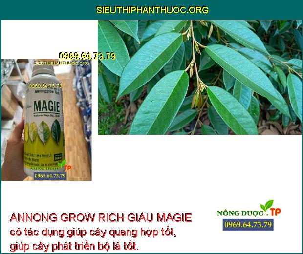 ANNONG GROW RICH GIÀU MAGIE có tác dụng giúp cây quang hợp tốt, giúp cây phát triển bộ lá tốt.