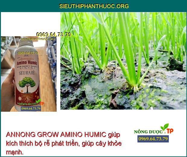 ANNONG GROW AMINO HUMIC giúp kích thích bộ rễ phát triển, giúp cây khỏe mạnh.