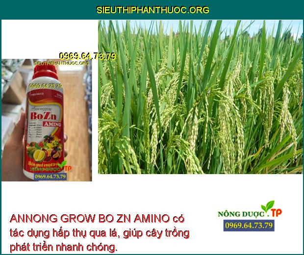 ANNONG GROW BO ZN AMINO có tác dụng hấp thụ qua lá, giúp cây trồng phát triển nhanh chóng.