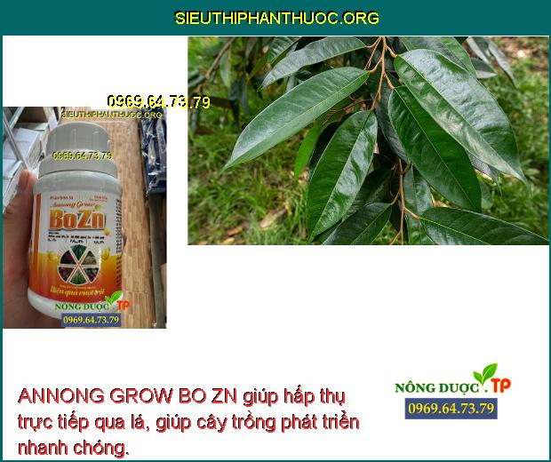 ANNONG GROW BO ZN giúp hấp thụ trực tiếp qua lá, giúp cây trồng phát triển nhanh chóng.