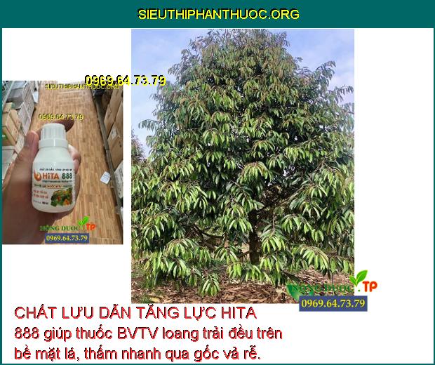 CHẤT LƯU DẪN TĂNG LỰC HITA 888 giúp thuốc BVTV loang trải đều trên bề mặt lá, thấm nhanh qua gốc vả rễ.