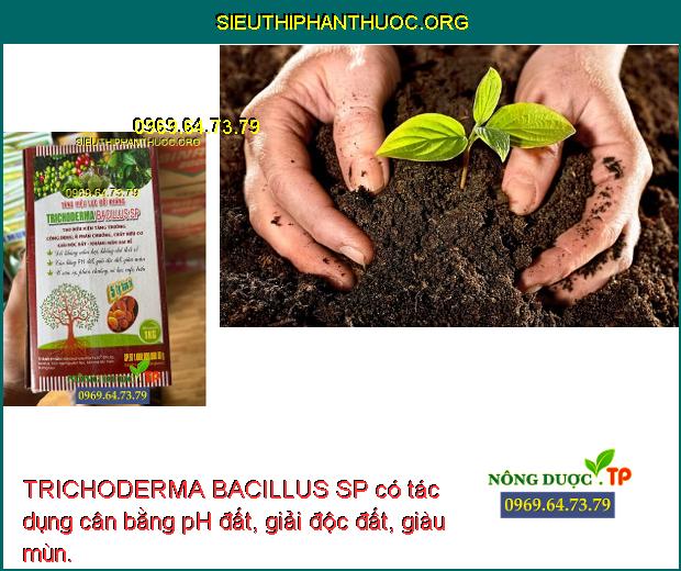 TRICHODERMA BACILLUS SP có tác dụng cân bằng pH đất, giải độc đất, giàu mùn.
