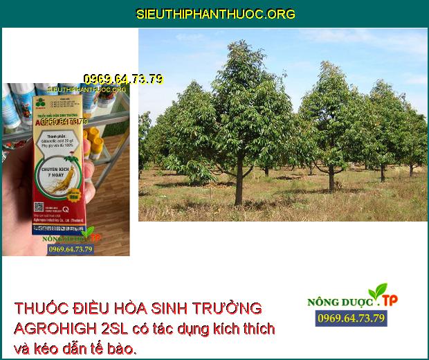 THUỐC ĐIỀU HÒA SINH TRƯỞNG AGROHIGH 2SL có tác dụng kích thích và kéo dẫn tế bào.