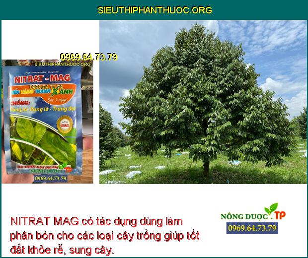 NITRAT MAG có tác dụng dùng làm phân bón cho các loại cây trồng giúp tốt đất khỏe rễ, sung cây.