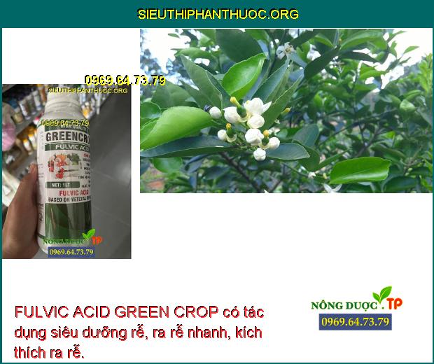 FULVIC ACID GREEN CROP có tác dụng siêu dưỡng rễ, ra rễ nhanh, kích thích ra rễ.