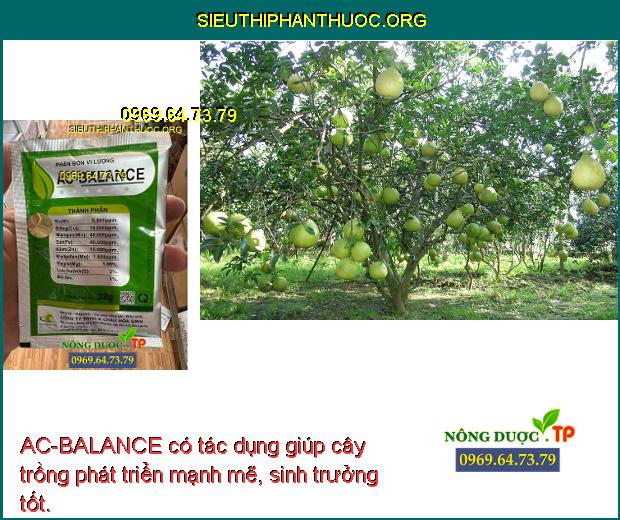 AC-BALANCE có tác dụng giúp cây trồng phát triển mạnh mẽ, sinh trưởng tốt.