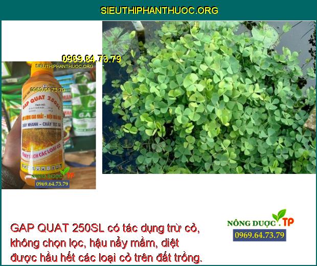 GAP QUAT 250SL có tác dụng trừ cỏ, không chọn lọc, hậu nẩy mầm, diệt được hầu hết các loại cỏ trên đất trồng.