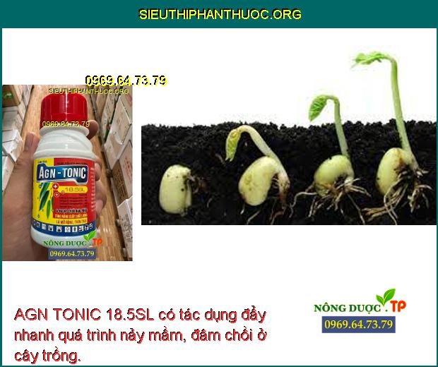 AGN TONIC 18.5SL có tác dụng đẩy nhanh quá trình nảy mầm, đâm chồi ở cây trồng.