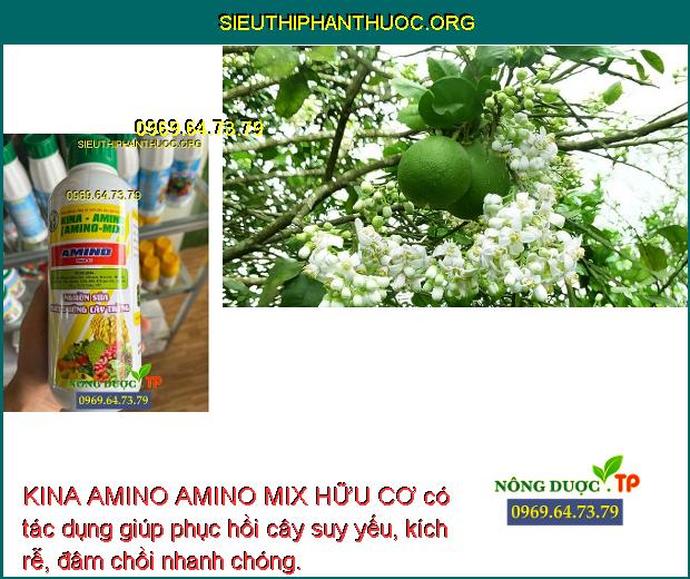 KINA AMINO AMINO MIX HỮU CƠ có tác dụng giúp phục hồi cây suy yếu, kích rễ, đâm chồi nhanh chóng.