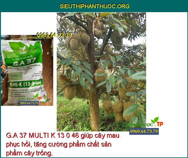 G.A 37 MULTI K 13 0 46 giúp cây mau phục hồi, tăng cường phẩm chất sản phẩm cây trồng.