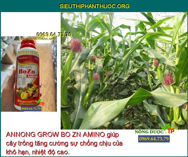 ANNONG GROW BO ZN AMINO giúp cây trồng tăng cường sự chống chịu của khô hạn, nhiệt độ cao.