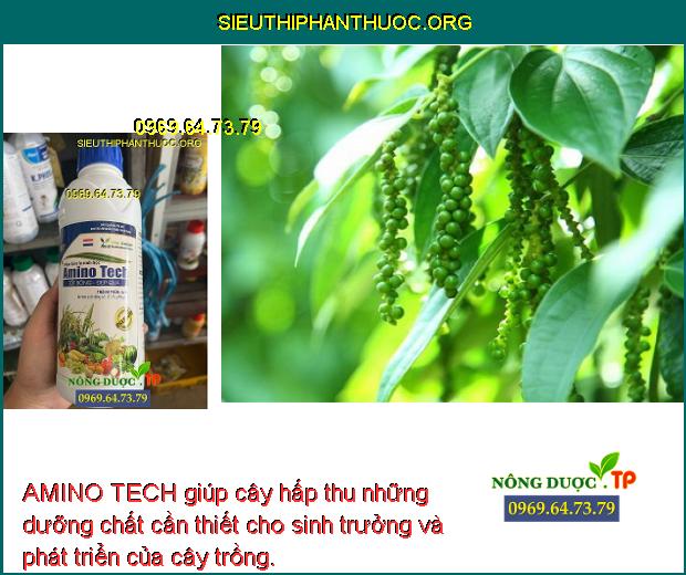 AMINO TECH giúp cây hấp thu những dưỡng chất cần thiết cho sinh trưởng và phát triển của cây trồng.