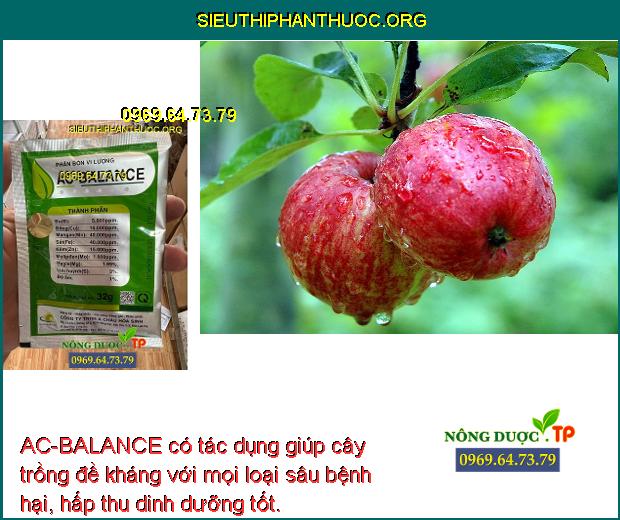 AC-BALANCE có tác dụng giúp cây trồng đề kháng với mọi loại sâu bệnh hại, hấp thu dinh dưỡng tốt.