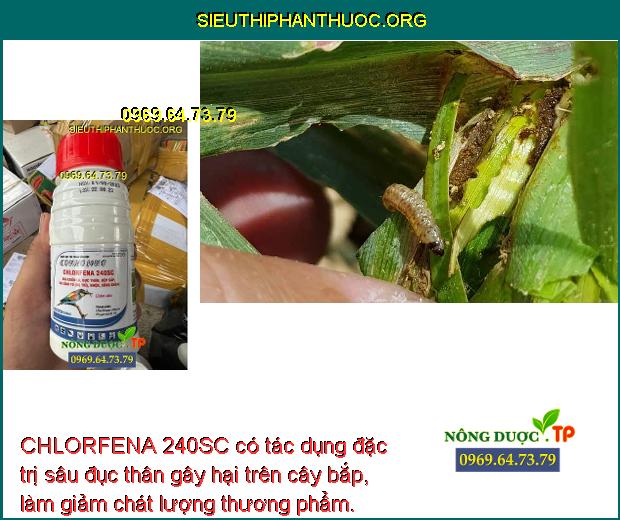 CHLORFENA 240SC có tác dụng đặc trị sâu đục thân gây hại trên cây bắp, làm giảm chát lượng thương phẩm.