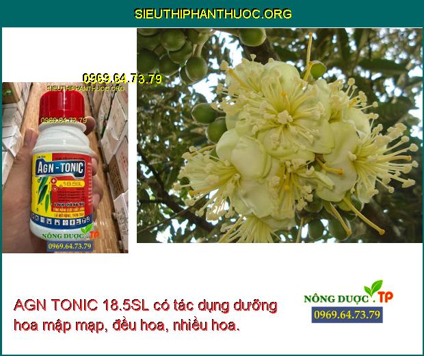 AGN TONIC 18.5SL có tác dụng dưỡng hoa mập mạp, đều hoa, nhiều hoa.
