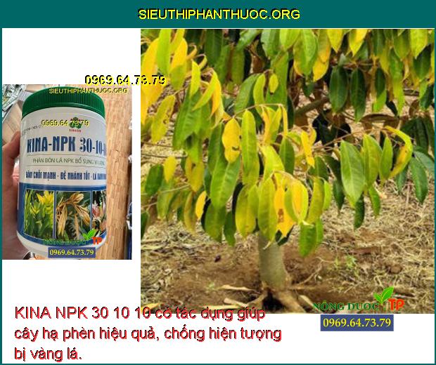 KINA NPK 30 10 10 có tác dụng giúp cây hạ phèn hiệu quả, chống hiện tượng bị vàng lá.