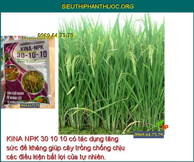 KINA NPK 30 10 10 có tác dụng tăng sức đề kháng giúp cây trồng chống chịu các điều kiện bất lợi của tự nhiên.