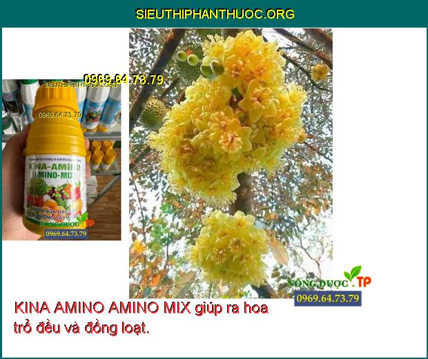 KINA AMINO AMINO MIX giúp ra hoa trổ đều và đồng loạt.