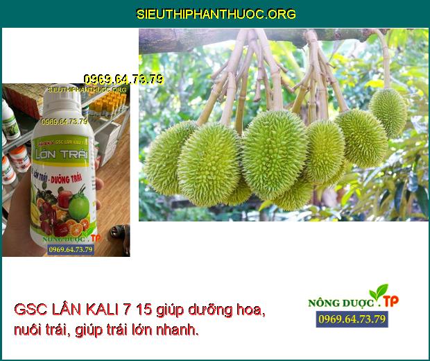 GSC LÂN KALI 7 15 giúp dưỡng hoa, nuôi trái, giúp trái lớn nhanh.