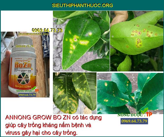 ANNONG GROW BO ZN có tác dụng giúp cây trồng kháng nấm bệnh và viruss gây hại cho cây trồng.